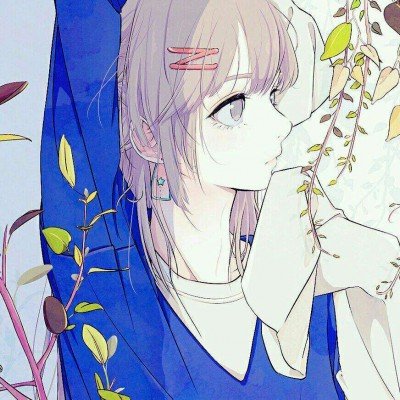 狗狗未牵绳被碾压主人当场崩溃